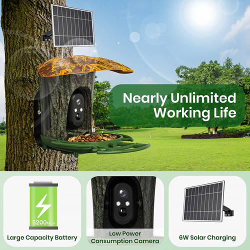 Connection smart bird - 4g,