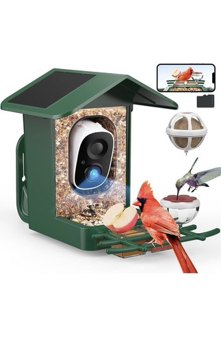 Peckcam bird feeder camera - bird,