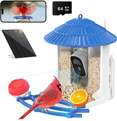 Smart bird feeder with - smart,