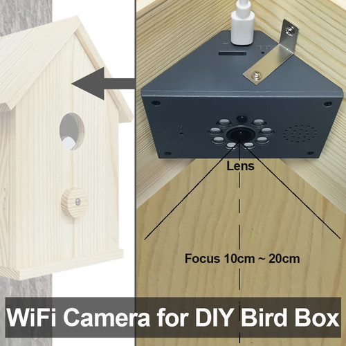 Camnsmart wifi bird box - bird,